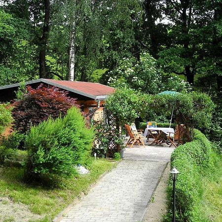 Ferienhaus Am Urzeitpark Sebnitz Hertigswalde Екстер'єр фото