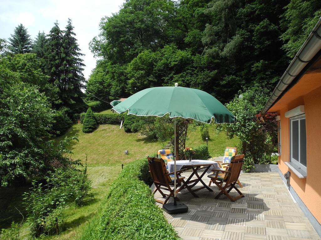 Ferienhaus Am Urzeitpark Sebnitz Hertigswalde Екстер'єр фото