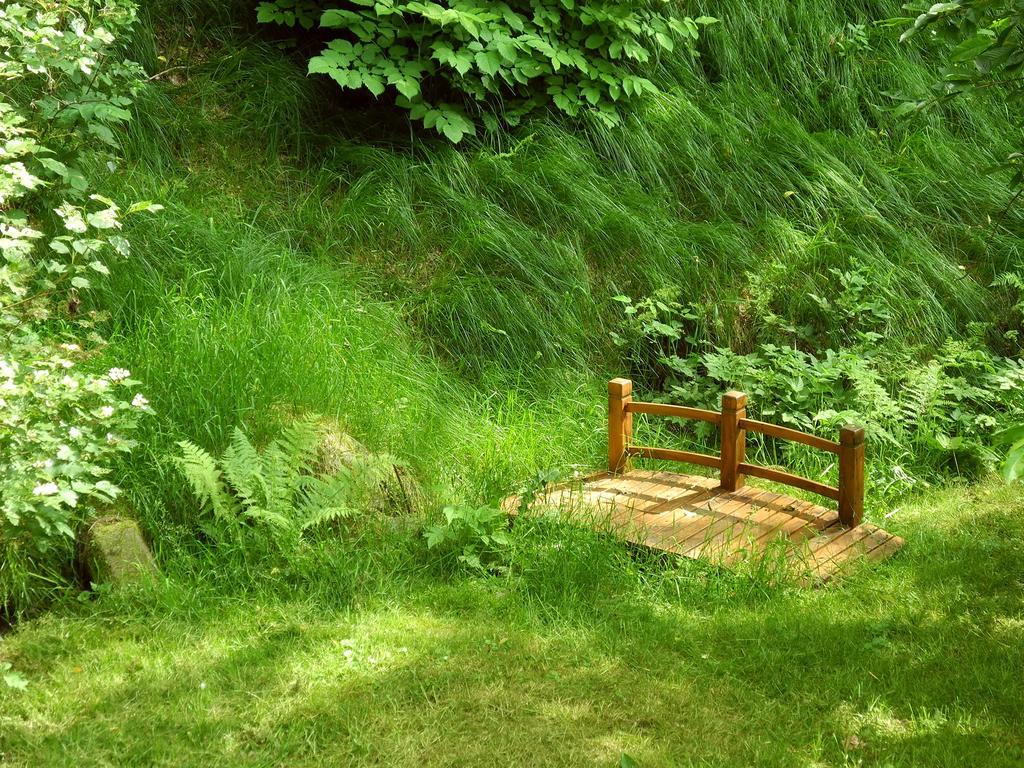 Ferienhaus Am Urzeitpark Sebnitz Hertigswalde Екстер'єр фото